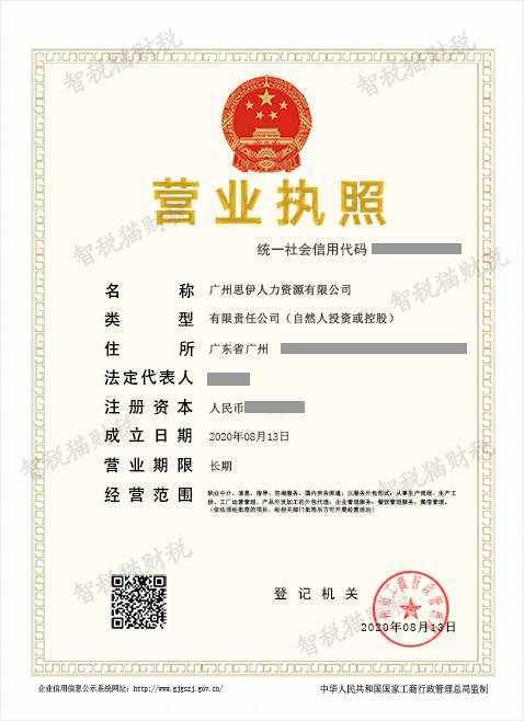 公司注册代理案例-广州思伊人力资源代办理案例
